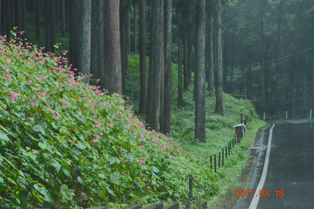 f:id:masatdm1951:20170818141221j:plain