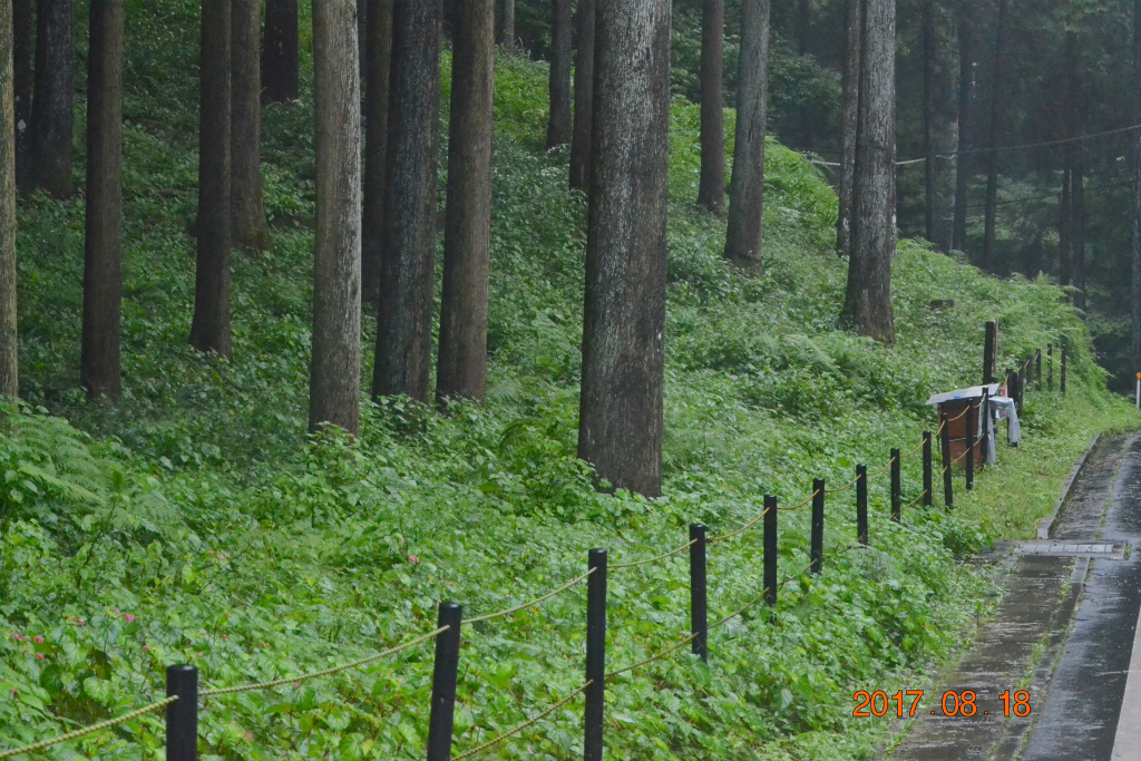 f:id:masatdm1951:20170818141356j:plain