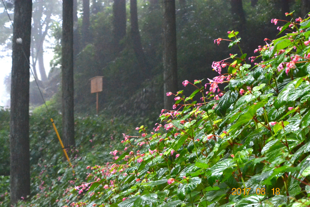 f:id:masatdm1951:20170818141805j:plain