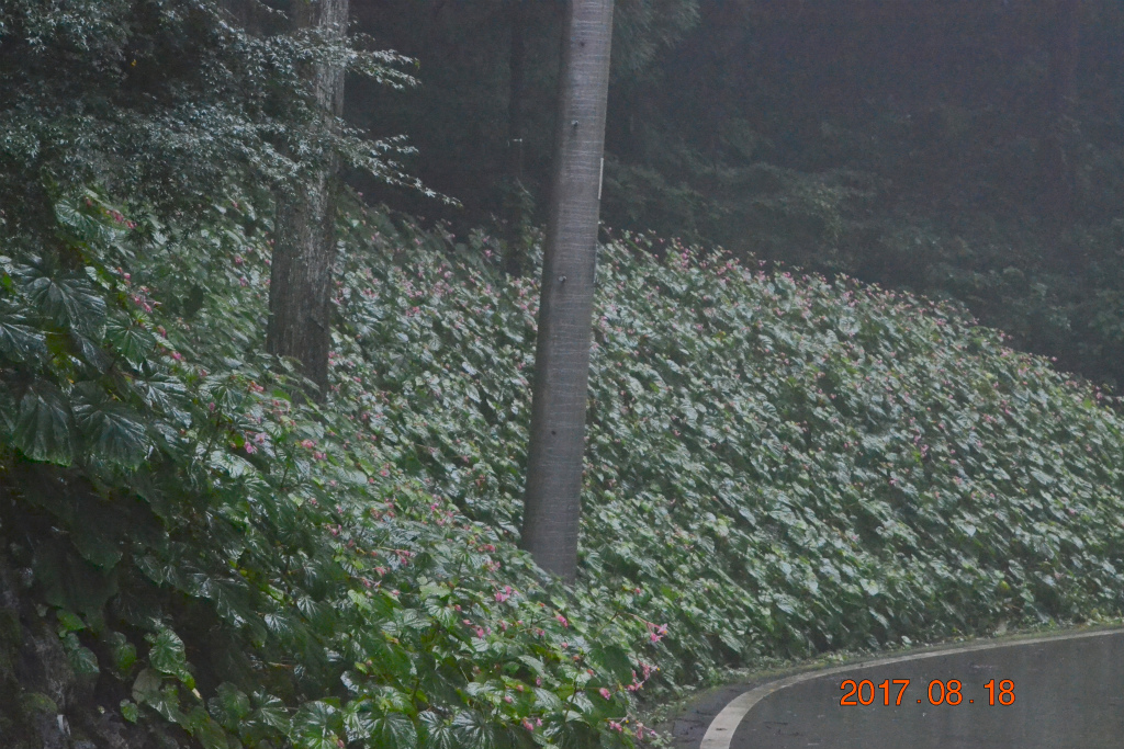 f:id:masatdm1951:20170818142541j:plain