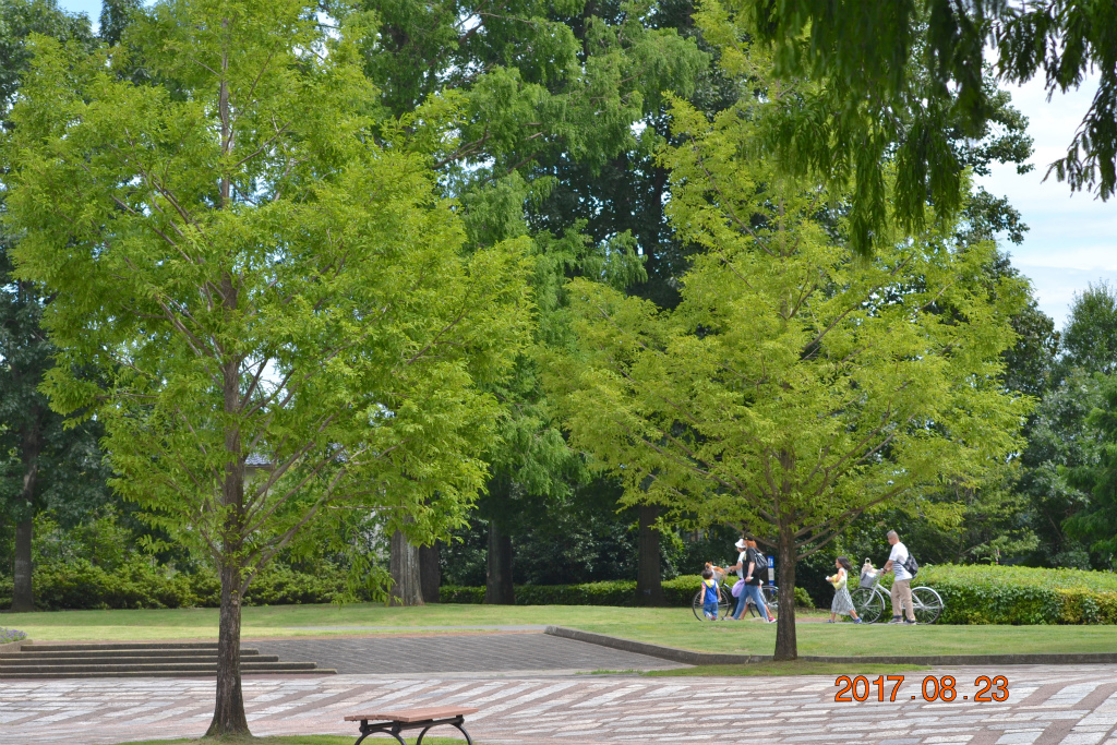f:id:masatdm1951:20170823195953j:plain f:id:masatdm1951:20170823195953j:plain