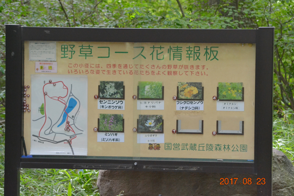 f:id:masatdm1951:20170823200320j:plain f:id:masatdm1951:20170823200320j:plain