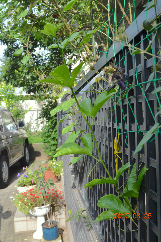 f:id:masatdm1951:20170825103000j:plain