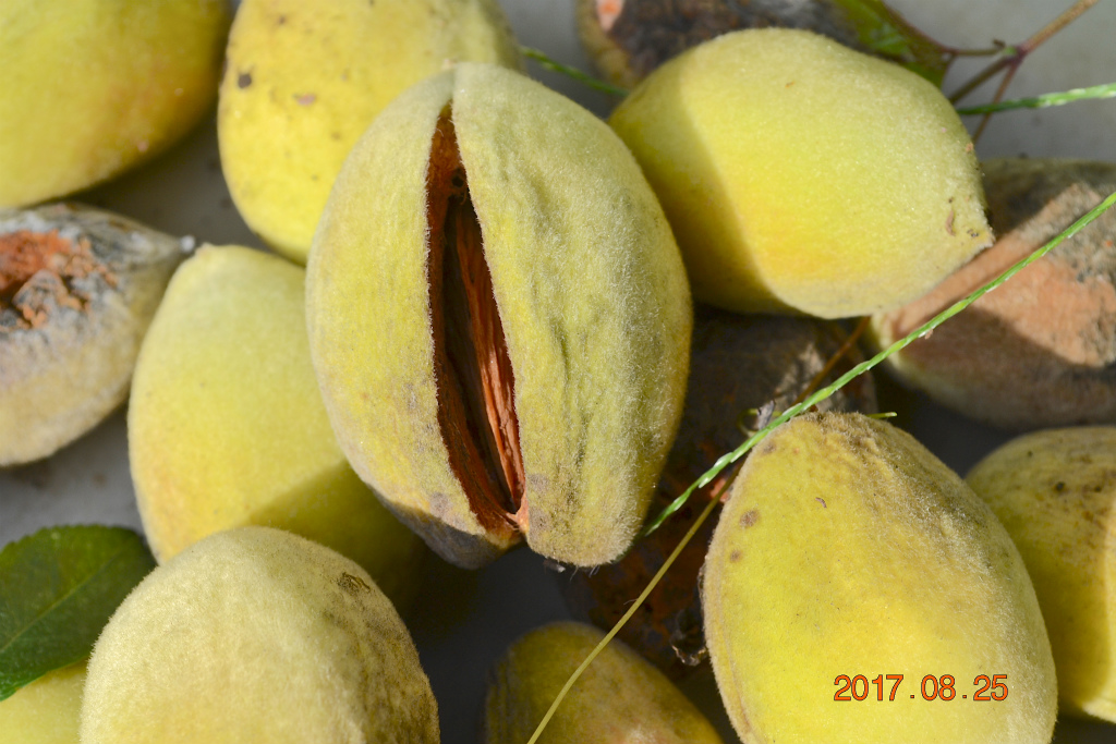 f:id:masatdm1951:20170825103012j:plain