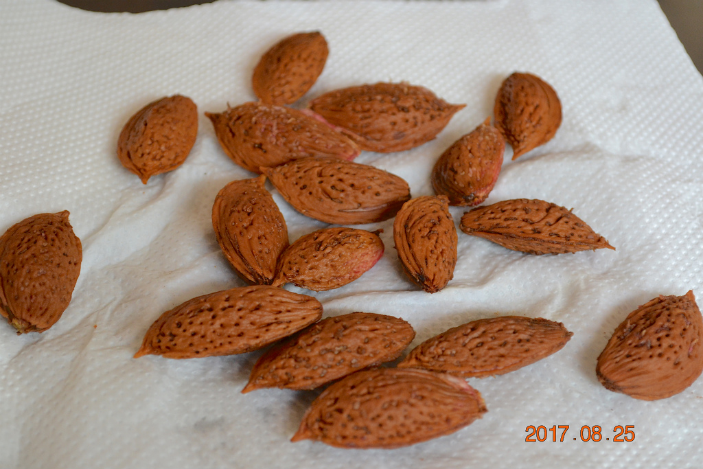 f:id:masatdm1951:20170825103158j:plain