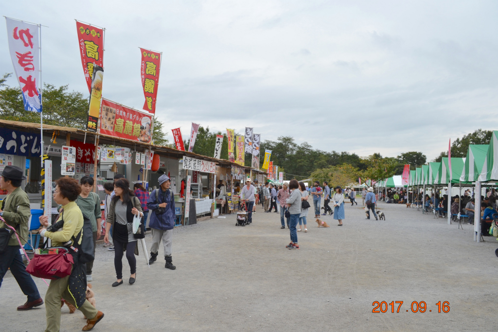 f:id:masatdm1951:20170917073217j:plain