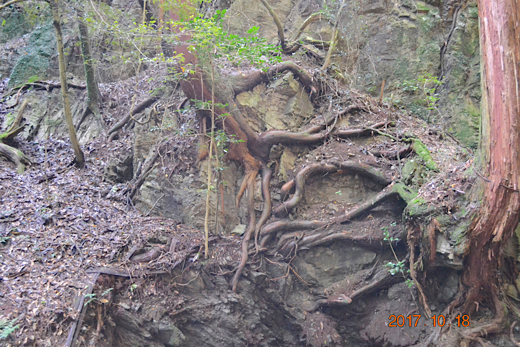 f:id:masatdm1951:20171018192855j:plain