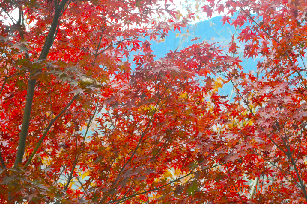 f:id:masatdm1951:20171104210227j:plain