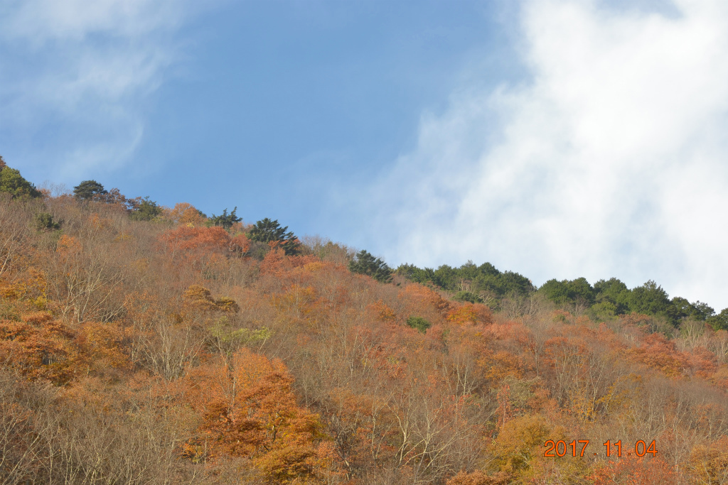 f:id:masatdm1951:20171104210428j:plain