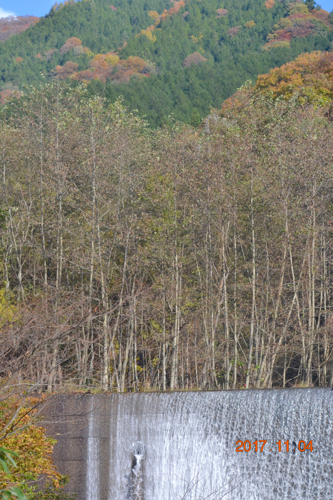 f:id:masatdm1951:20171104210649j:plain