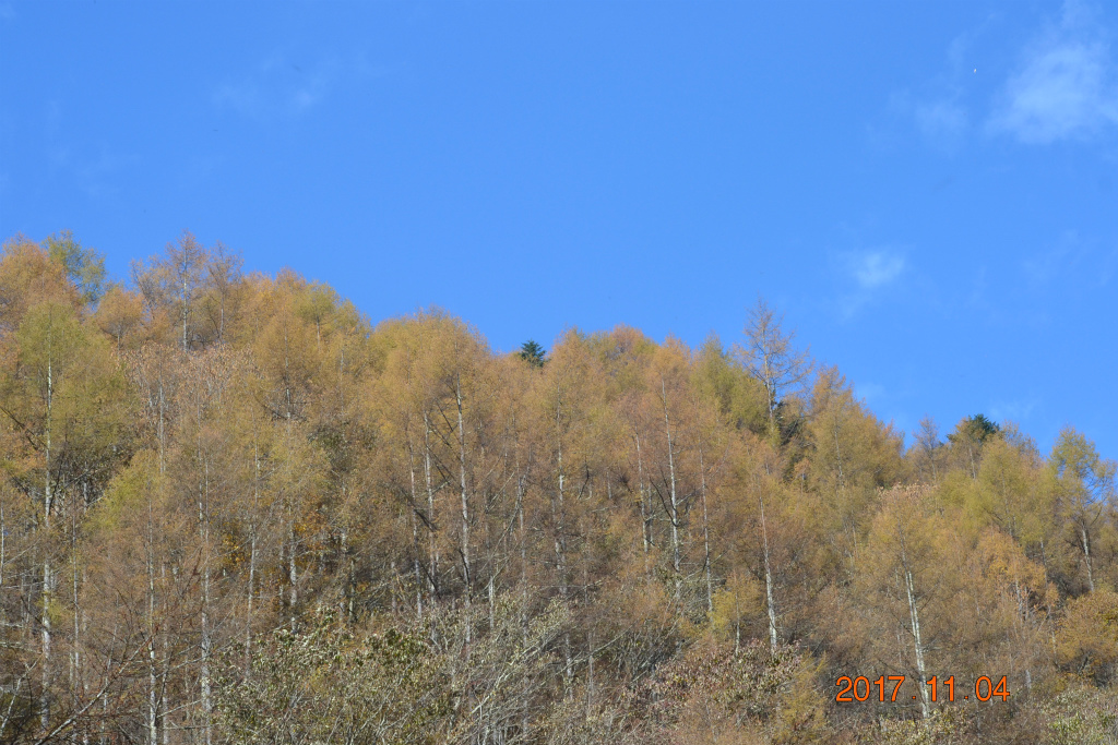 f:id:masatdm1951:20171104210708j:plain