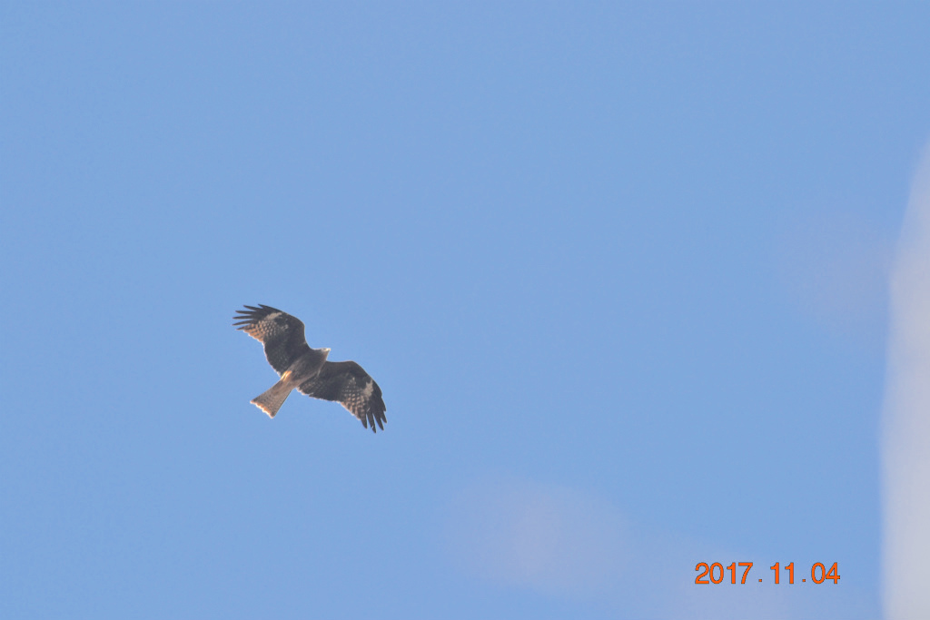 f:id:masatdm1951:20171104210736j:plain