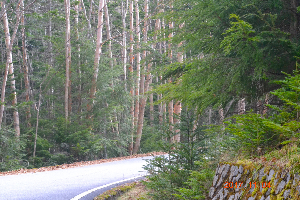 f:id:masatdm1951:20171104210834j:plain