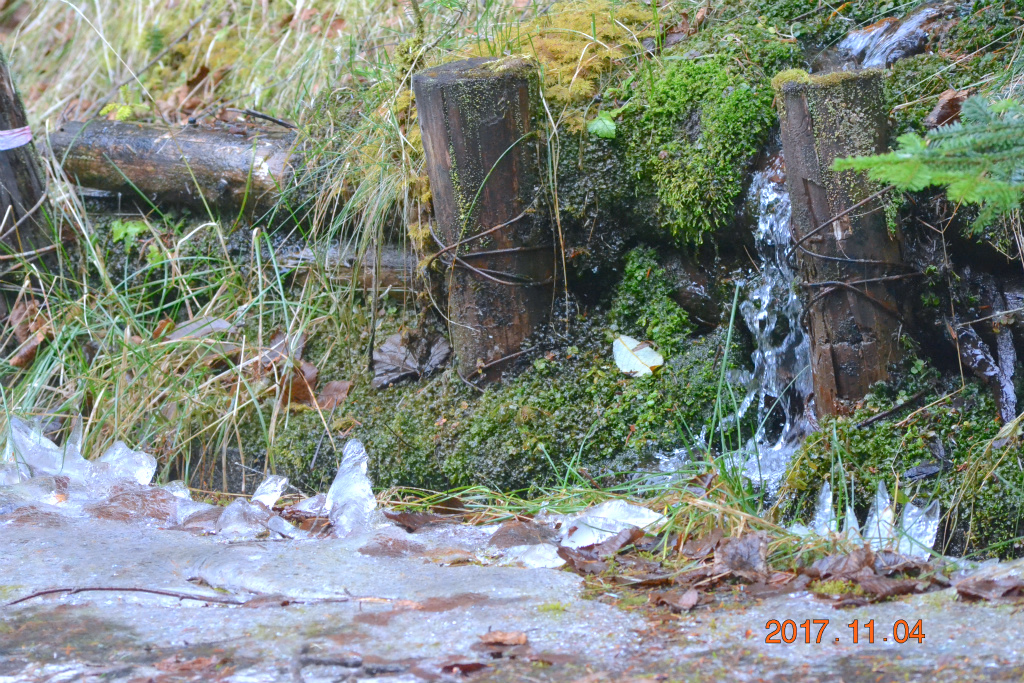 f:id:masatdm1951:20171104210925j:plain