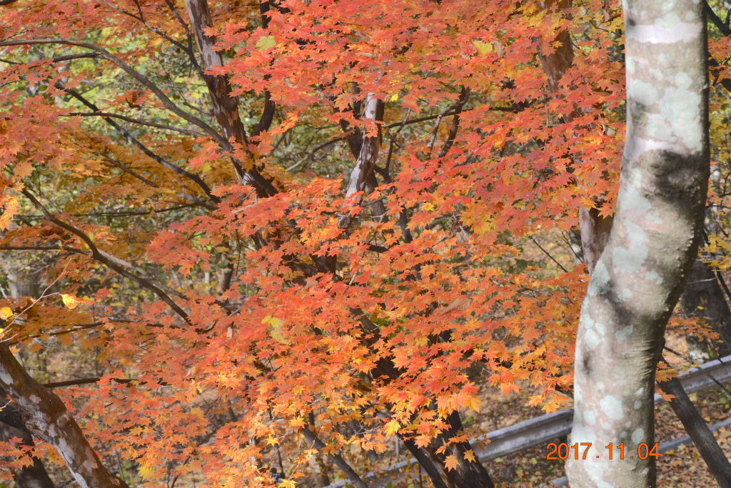 f:id:masatdm1951:20171104210959j:plain