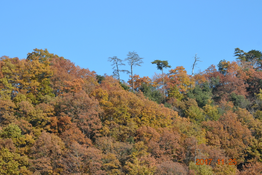 f:id:masatdm1951:20171125104830j:plain