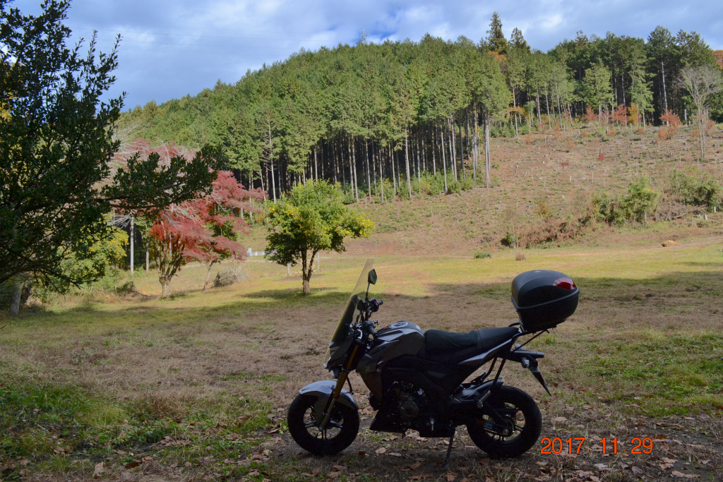 f:id:masatdm1951:20171129154836j:plain f:id:masatdm1951:20171129154836j:plain