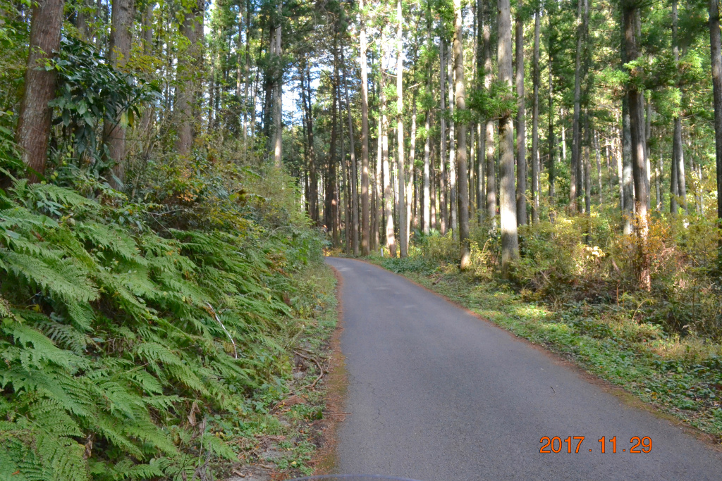 f:id:masatdm1951:20171129155018j:plain f:id:masatdm1951:20171129155018j:plain