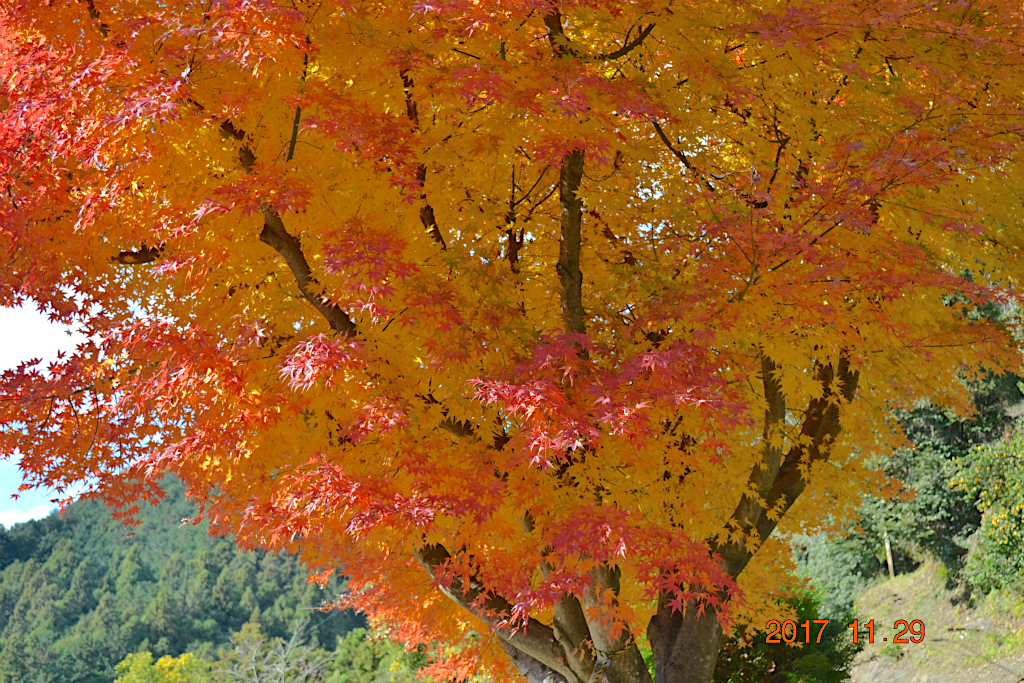 f:id:masatdm1951:20171129155503j:plain f:id:masatdm1951:20171129155503j:plain