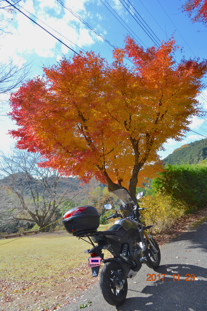 f:id:masatdm1951:20171129170733j:plain f:id:masatdm1951:20171129170733j:plain