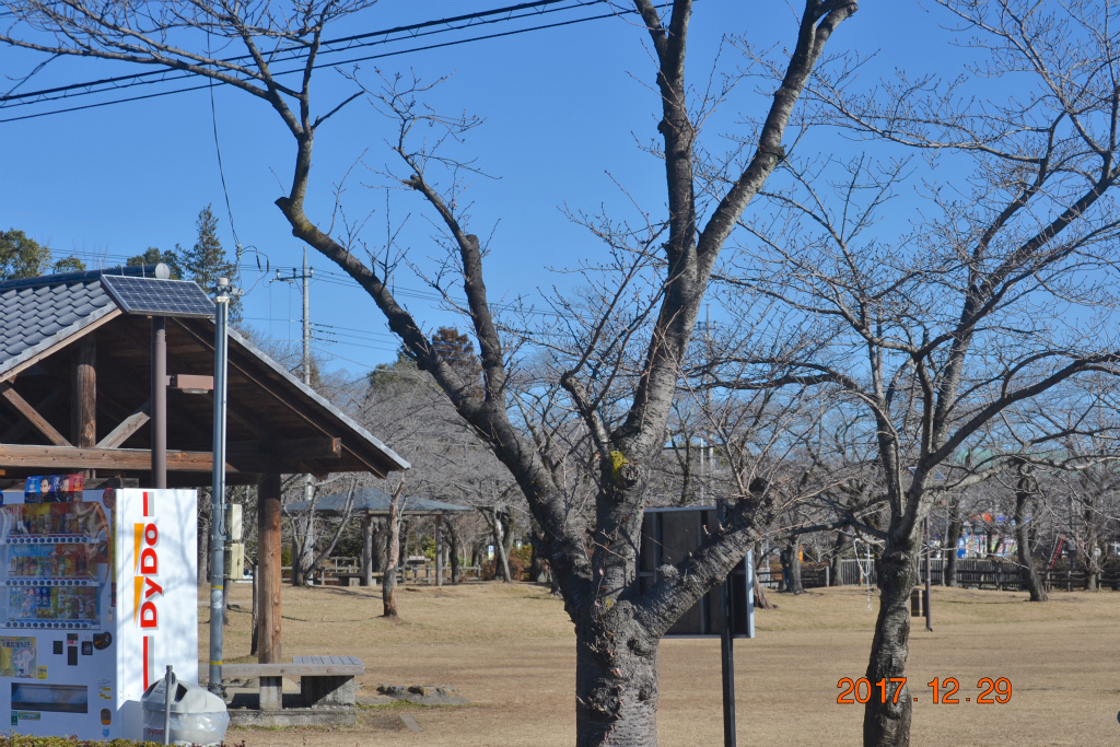 f:id:masatdm1951:20171229161822j:plain