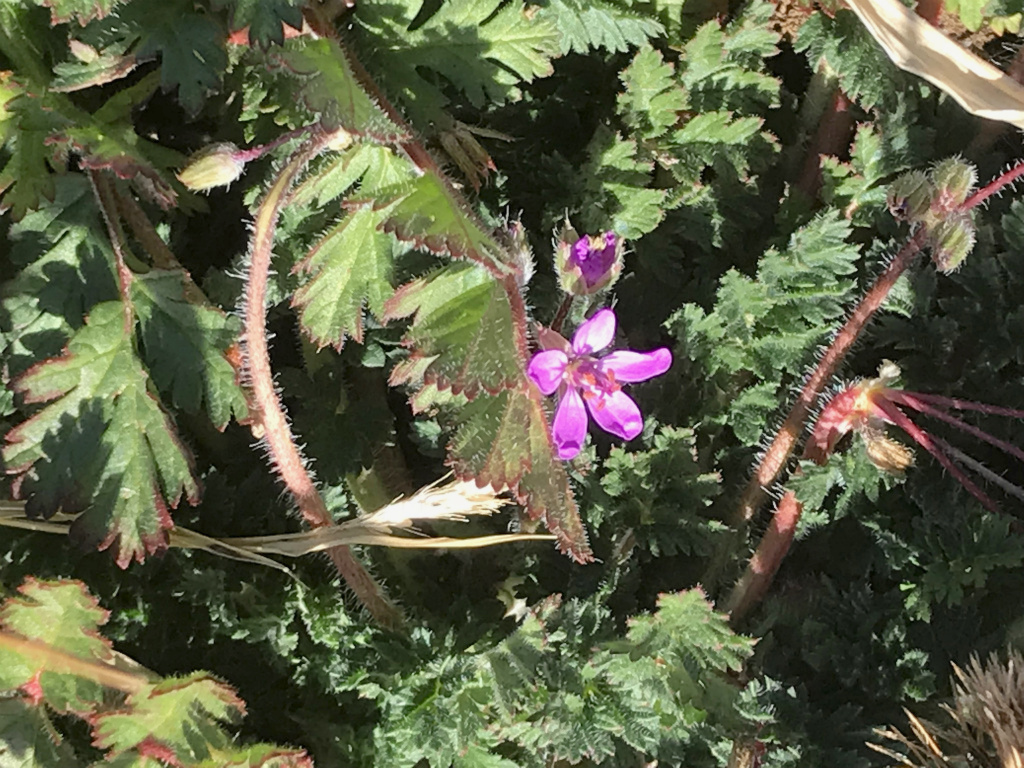 f:id:masatdm1951:20171229161859j:plain