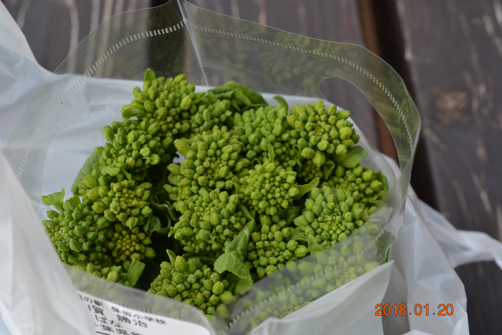 f:id:masatdm1951:20180121192724j:plain f:id:masatdm1951:20180121192724j:plain