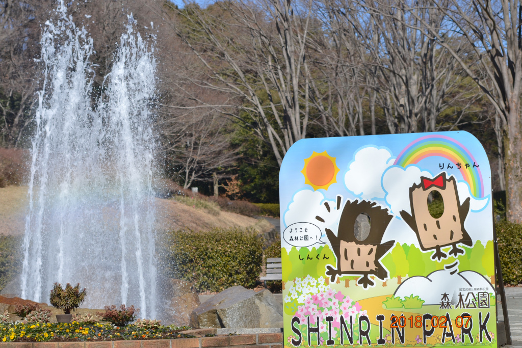 f:id:masatdm1951:20180207162552j:plain f:id:masatdm1951:20180207162552j:plain