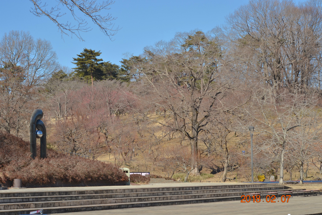 f:id:masatdm1951:20180207162602j:plain f:id:masatdm1951:20180207162602j:plain