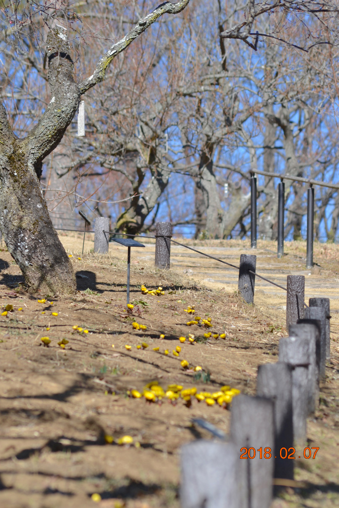 f:id:masatdm1951:20180207162617j:plain f:id:masatdm1951:20180207162617j:plain