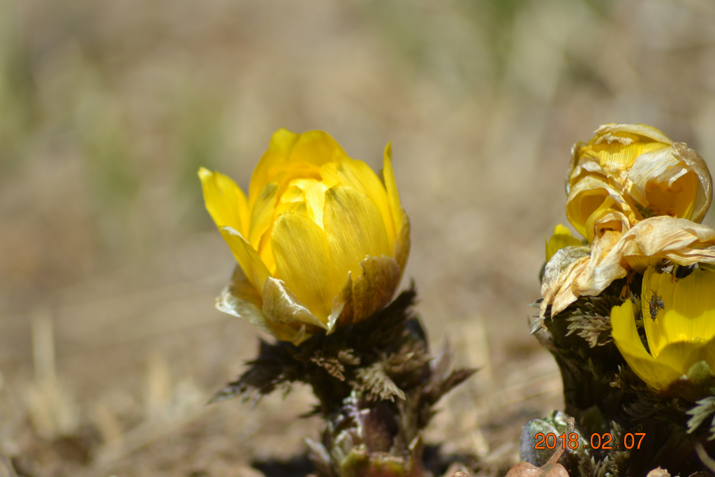 f:id:masatdm1951:20180207162808j:plain f:id:masatdm1951:20180207162808j:plain