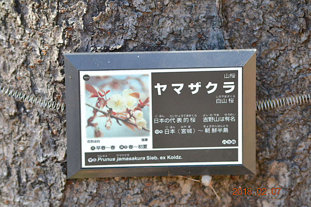 f:id:masatdm1951:20180207162925j:plain f:id:masatdm1951:20180207162925j:plain