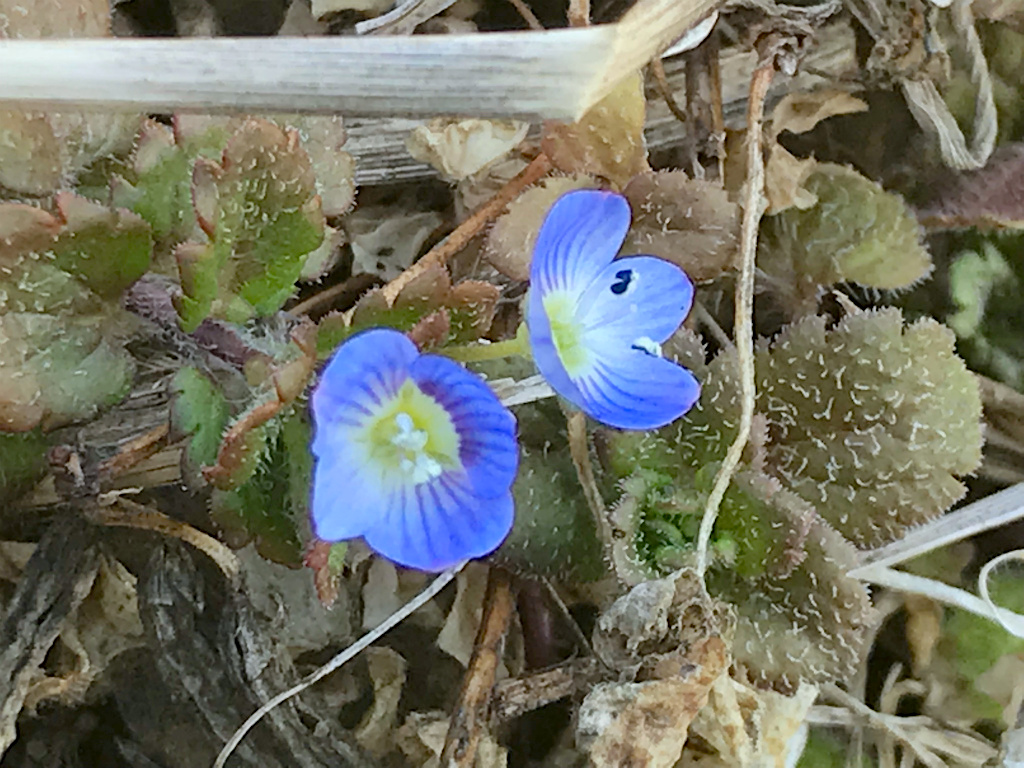 f:id:masatdm1951:20180210220250j:plain