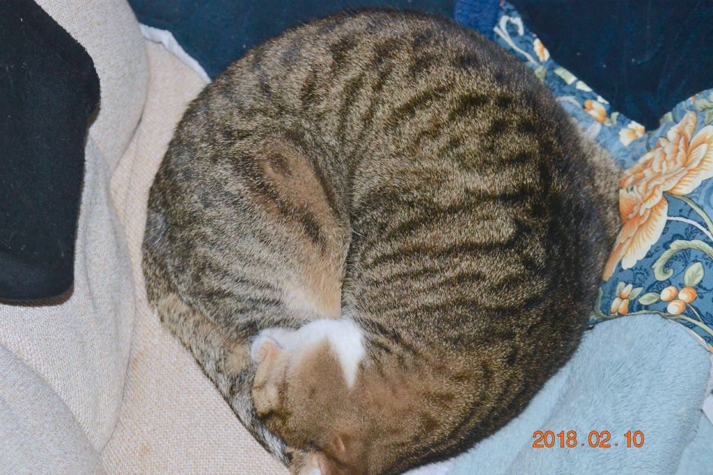 f:id:masatdm1951:20180210220321j:plain