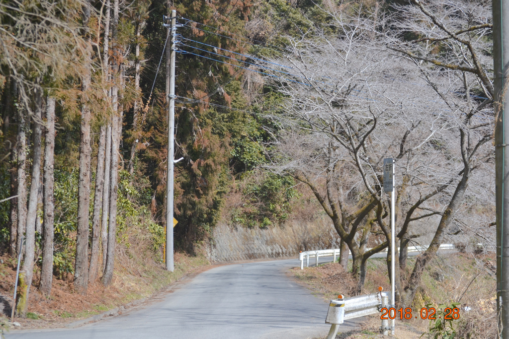 f:id:masatdm1951:20180228163647j:plain