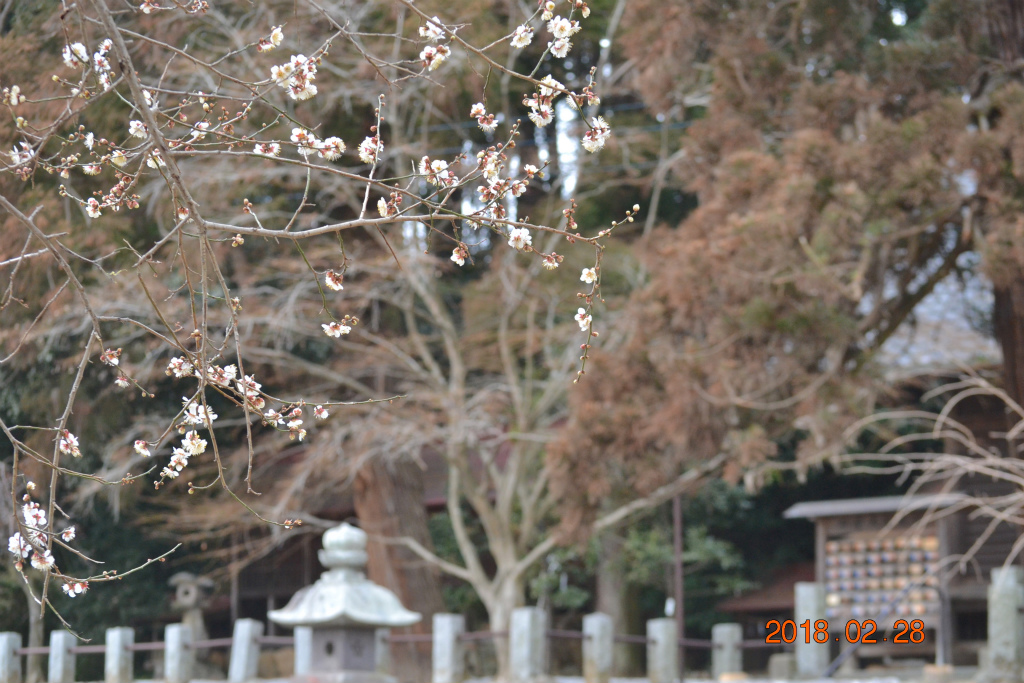 f:id:masatdm1951:20180228163803j:plain