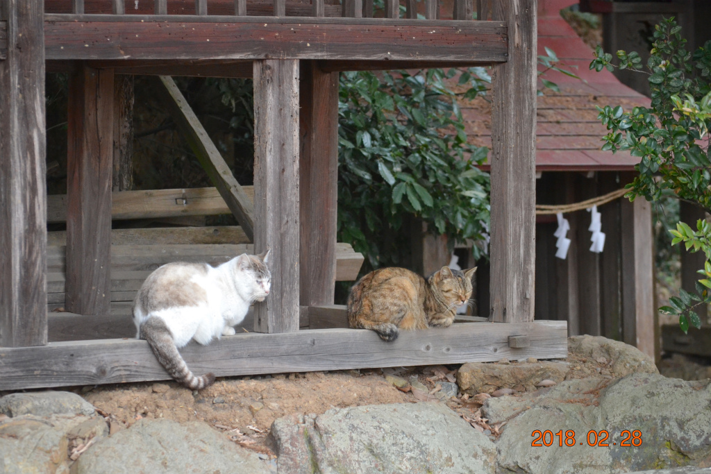 f:id:masatdm1951:20180228163824j:plain