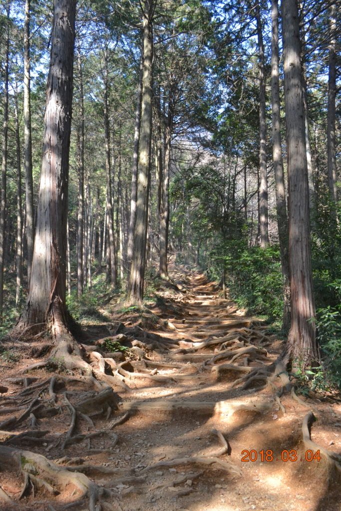 f:id:masatdm1951:20180304140752j:plain