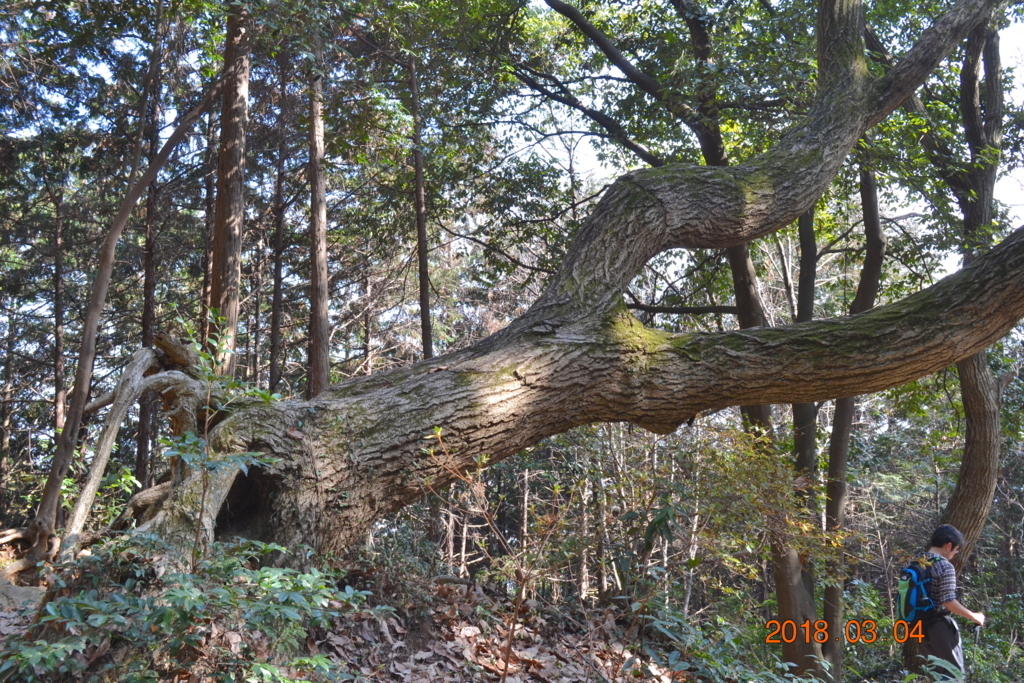 f:id:masatdm1951:20180304141209j:plain