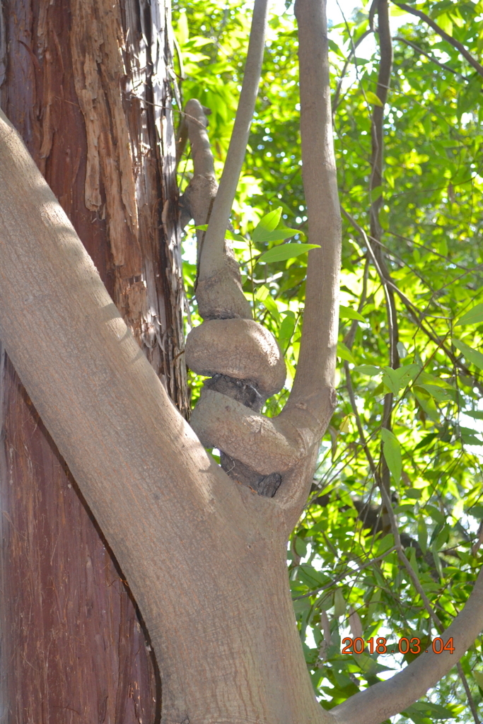 f:id:masatdm1951:20180304141408j:plain