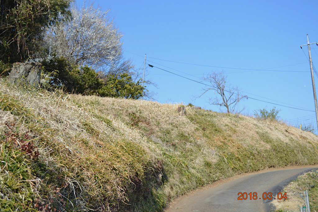 f:id:masatdm1951:20180304200358j:plain