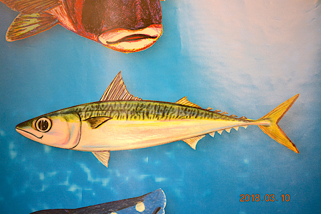 f:id:masatdm1951:20180311211355j:plain