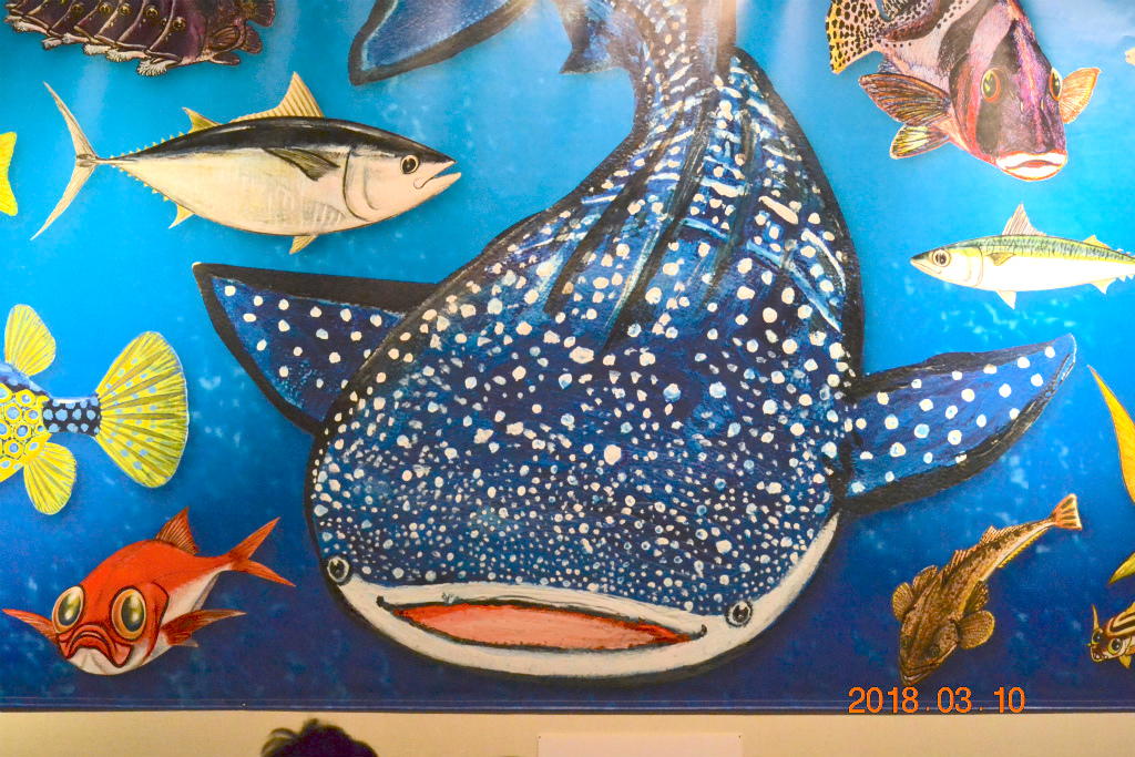 f:id:masatdm1951:20180311211434j:plain