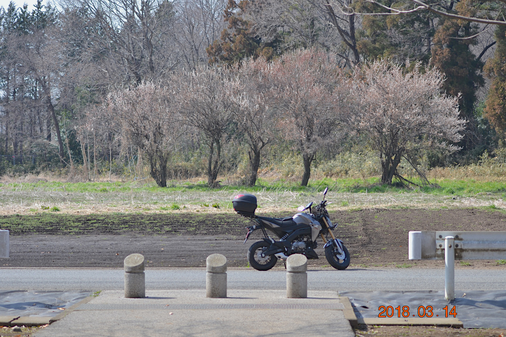 f:id:masatdm1951:20180314155025j:plain f:id:masatdm1951:20180314155025j:plain