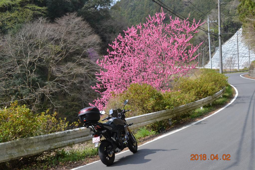 f:id:masatdm1951:20180402170032j:plain f:id:masatdm1951:20180402170032j:plain