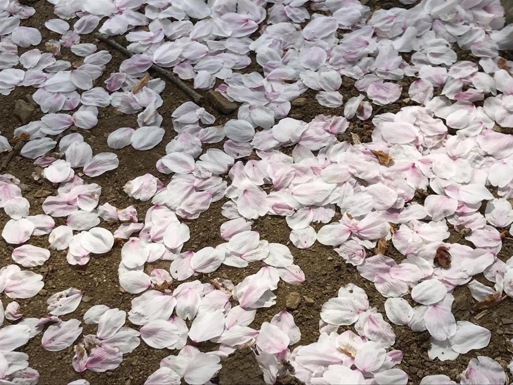 f:id:masatdm1951:20180404133530j:plain f:id:masatdm1951:20180404133530j:plain