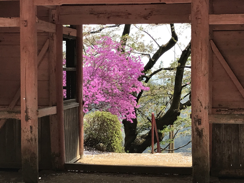 f:id:masatdm1951:20180404215634j:plain f:id:masatdm1951:20180404215634j:plain