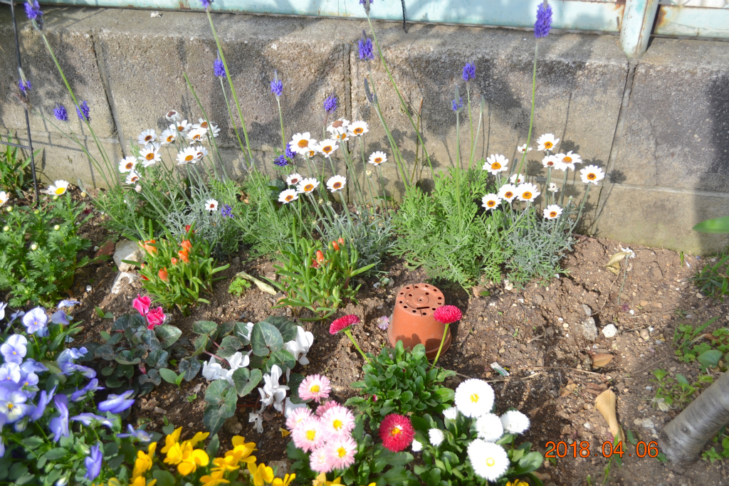 f:id:masatdm1951:20180406092612j:plain