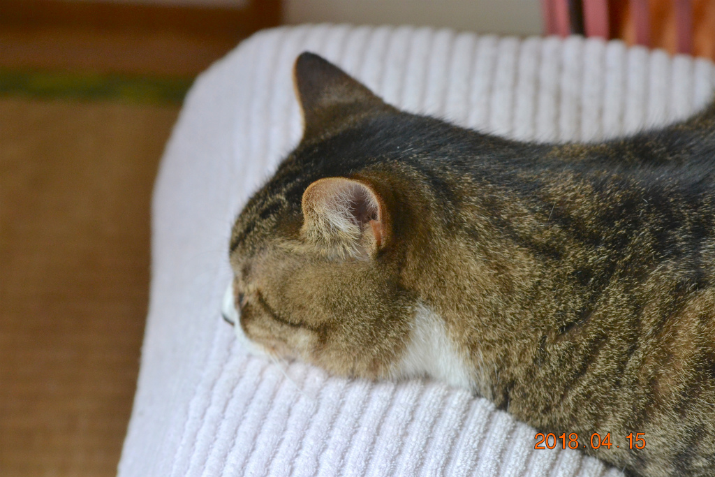 f:id:masatdm1951:20180415185902j:plain f:id:masatdm1951:20180415185902j:plain