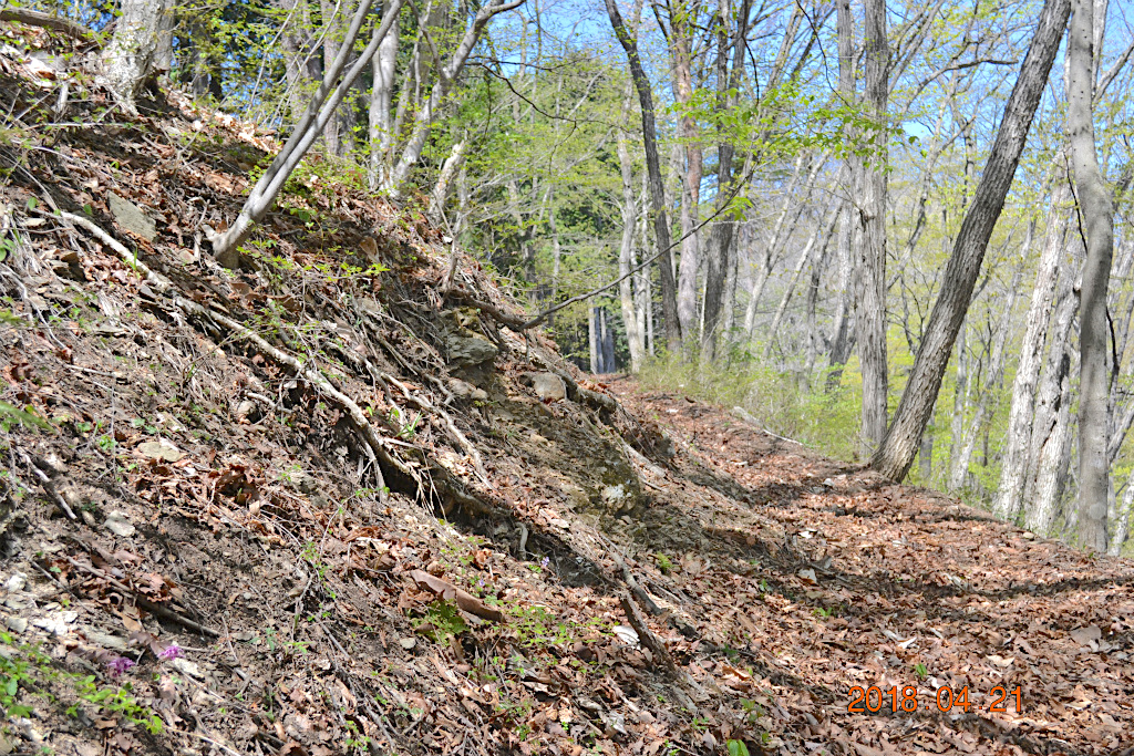 f:id:masatdm1951:20180421190504j:plain